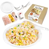 Amazon | 元祖食品サンプル屋【公式】自分で作る食品サンプルキット